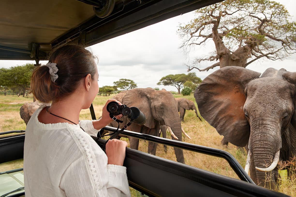 Professional Safari Guide Tanzania