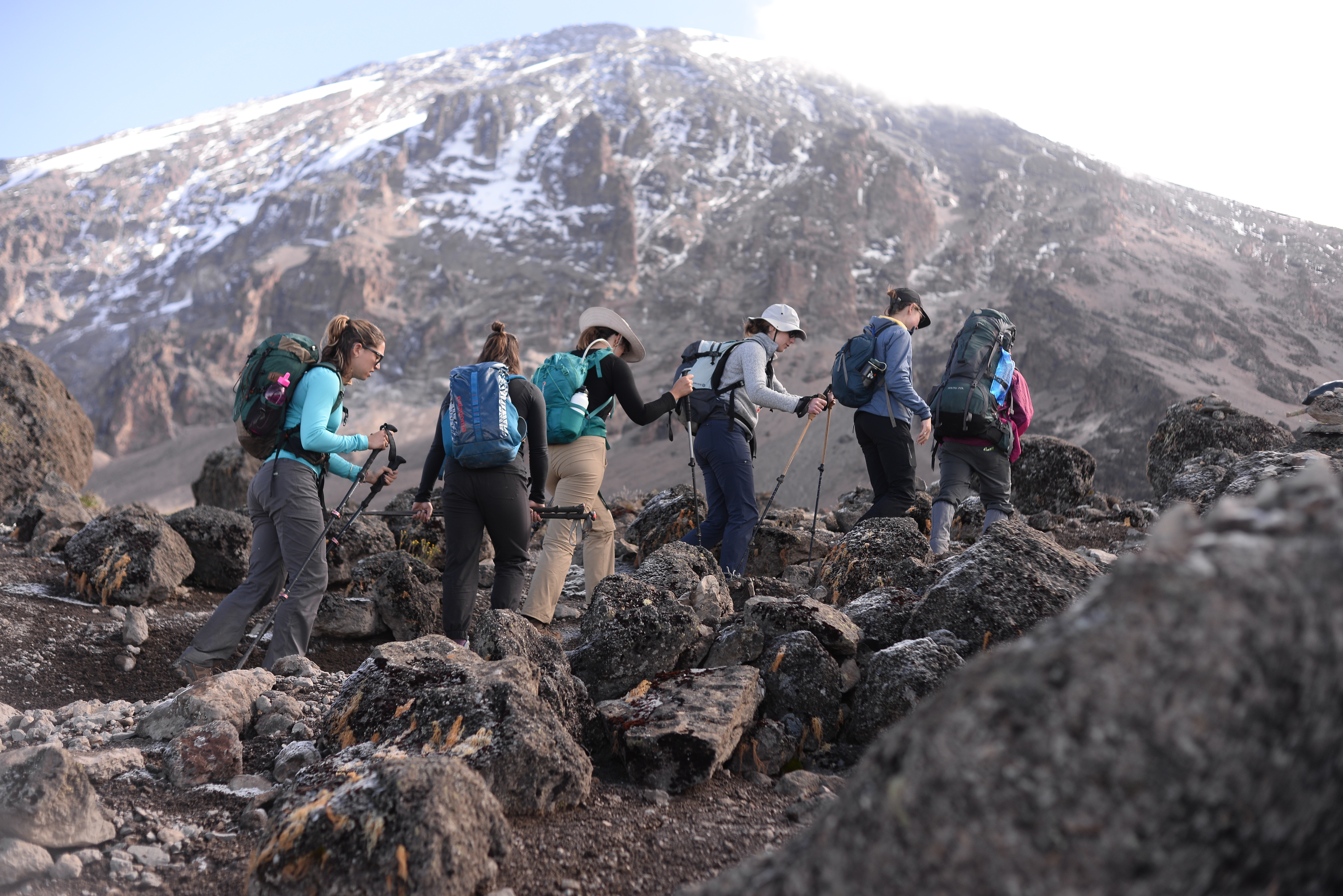 1-Day Kilimanjaro Day Hike