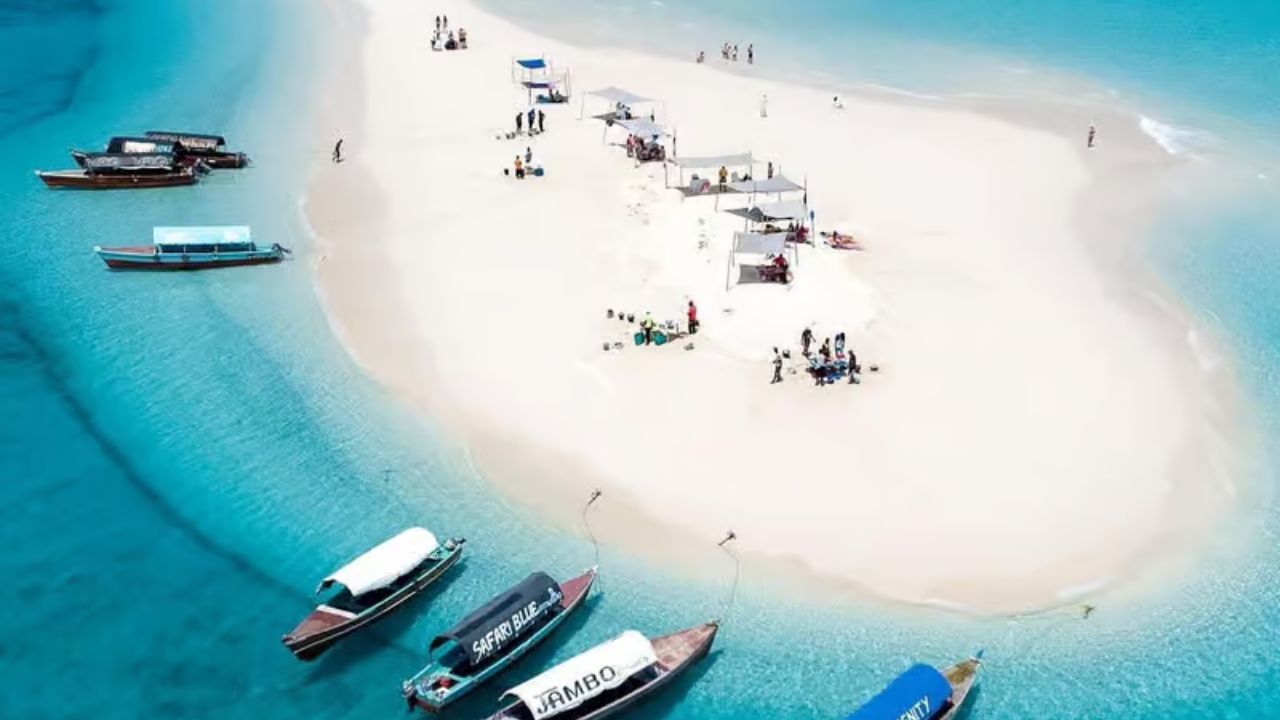 1-Day Trip Nakupenda Sandbank Tour – Zanzibar