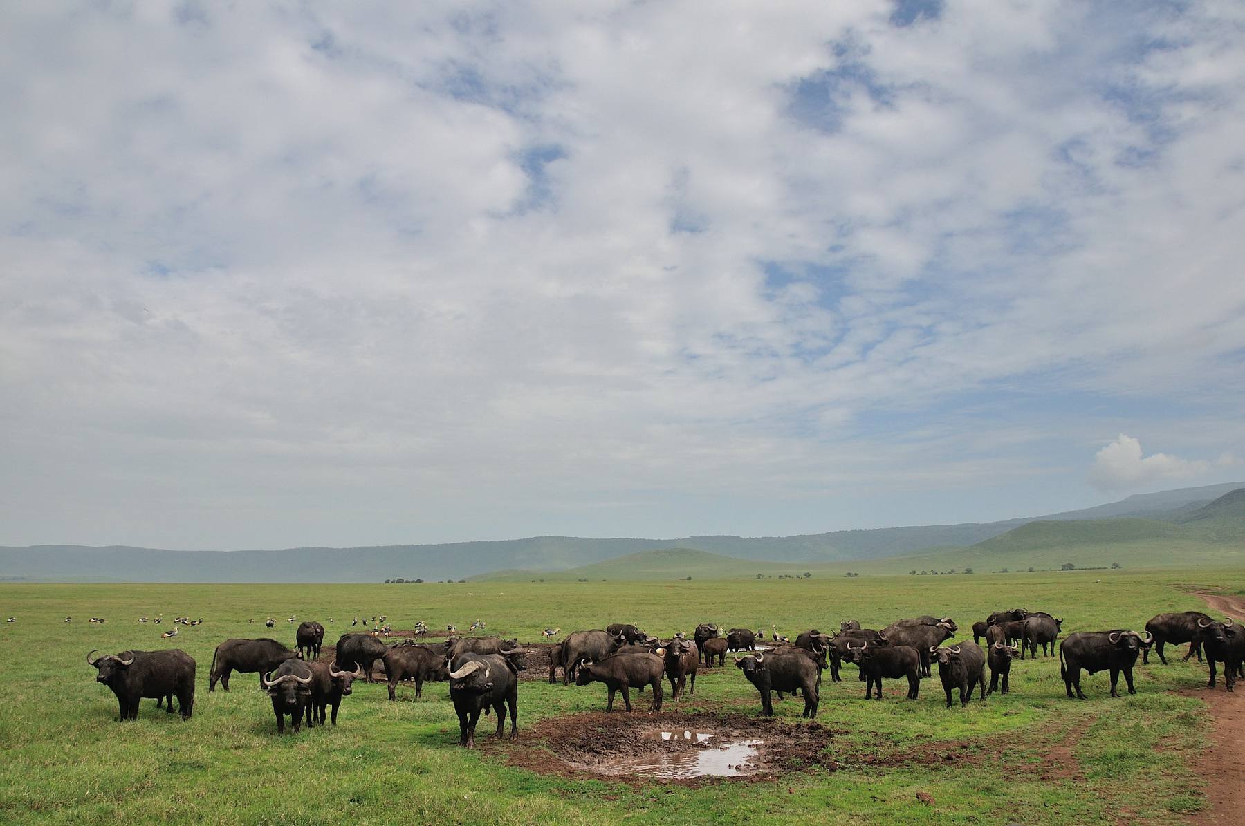Day 7