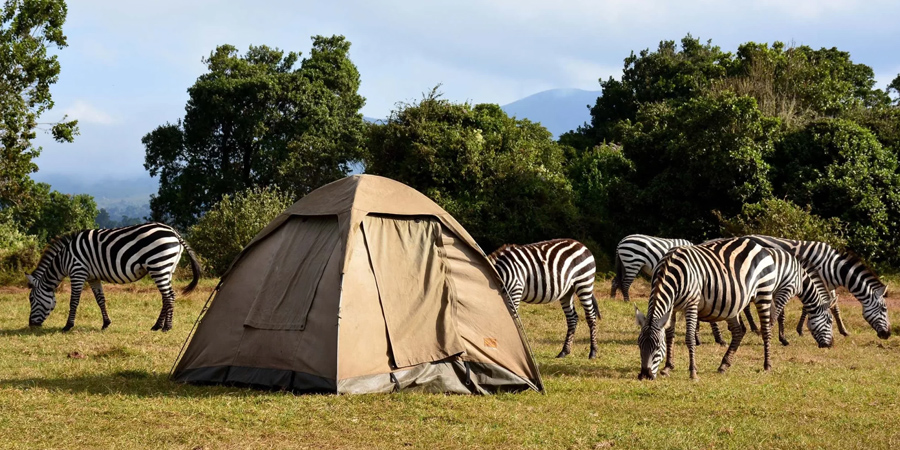 7-Day Classic Tanzania Camping Safari