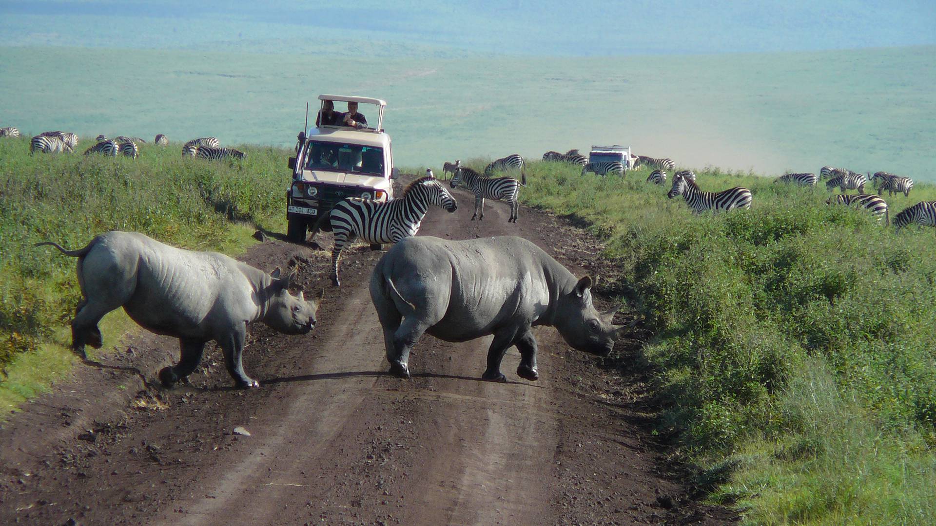 6-Day Tanzania Camping Safari and Lake Eyasi Cultural Tour