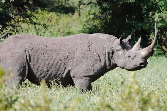6-Day Tarangire, Ngorongoro crater, Lake Eyasi and Chemka hotsprings