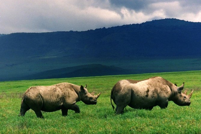 6-Day Authentic Bush Camping Safari