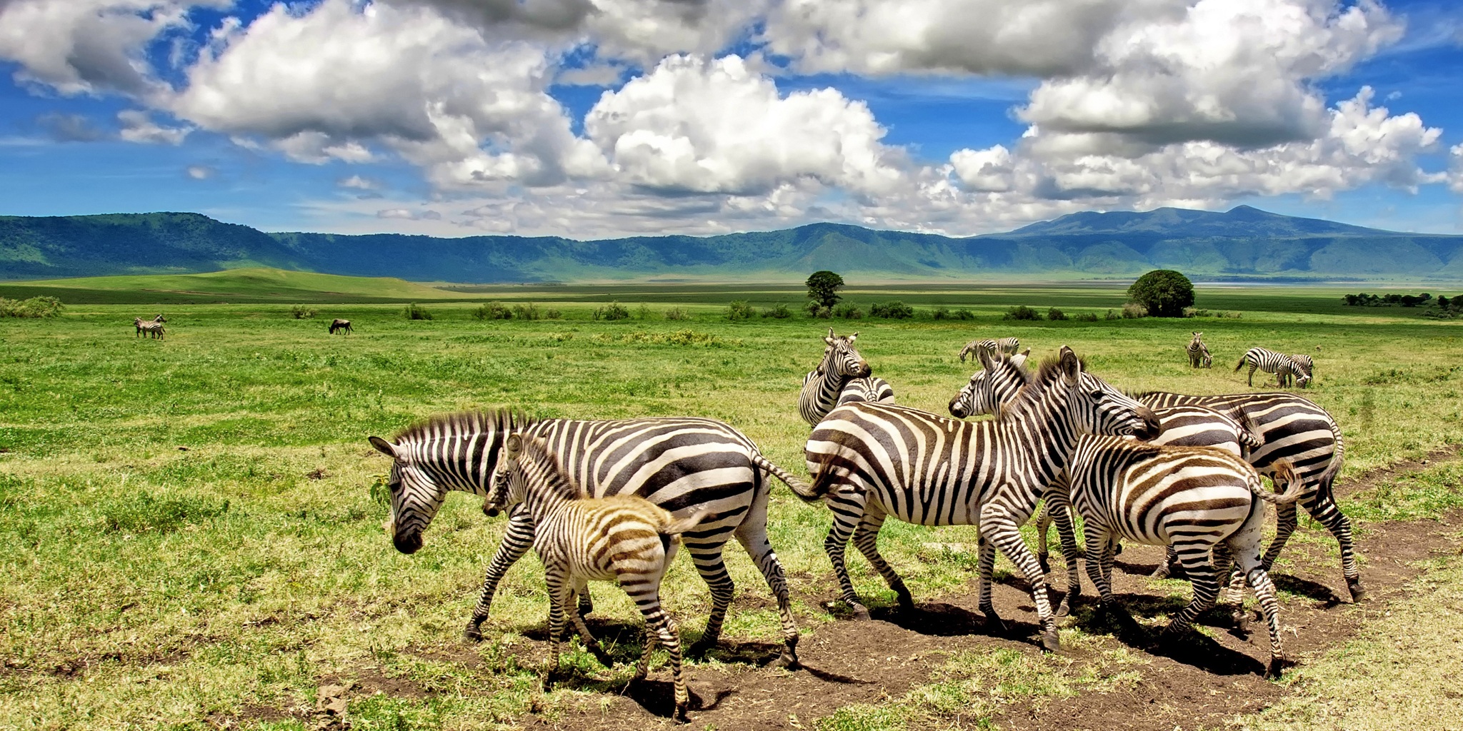 8-Day Lake Natron, Mto wa Mbu, Ngorongoro Crater, Tarangire and Chemka hotsprings