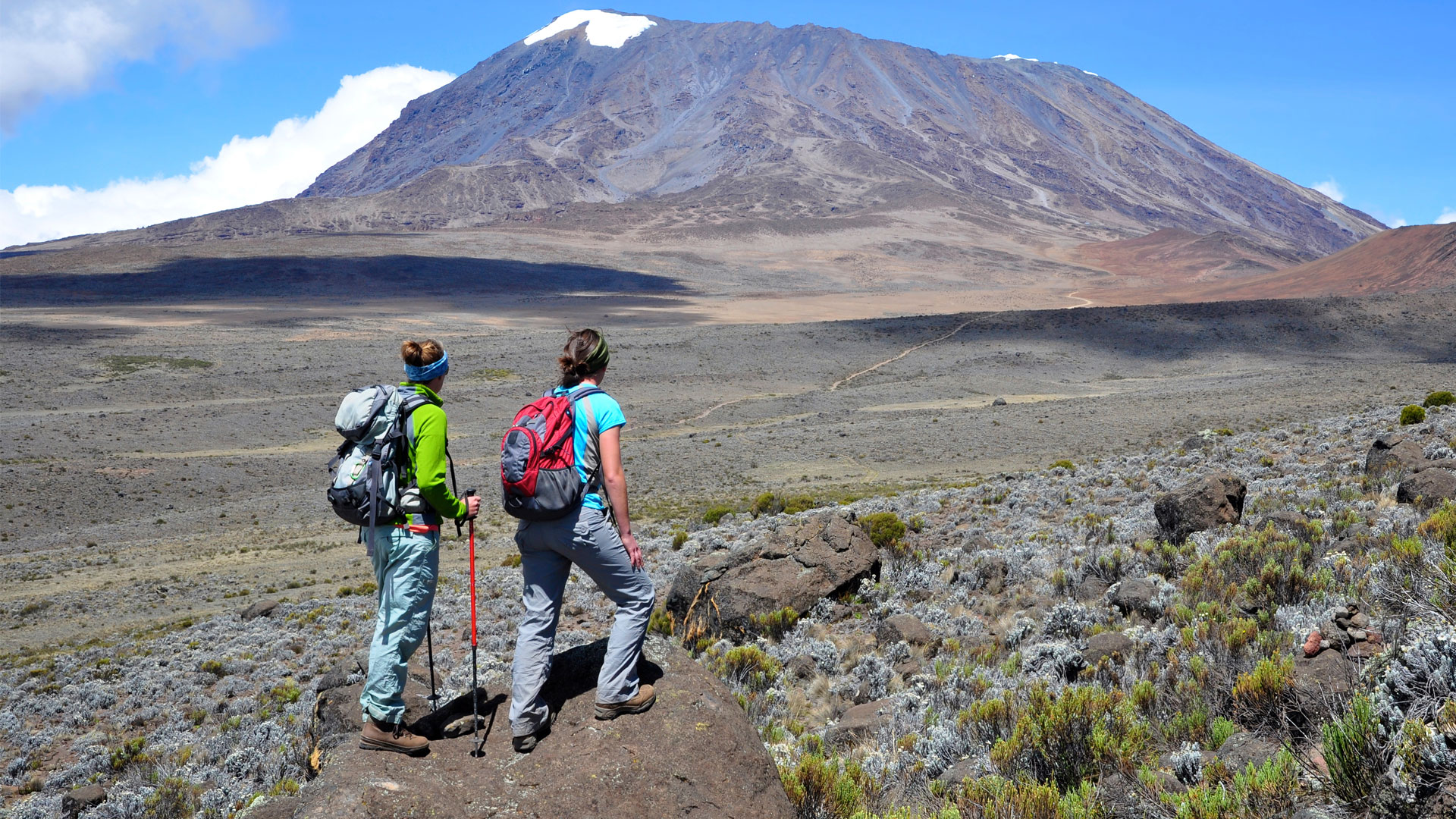 5-Day Kilimanjaro Day Hike, Enduimet Wildlife Area, Cultural Tour & Chemka Hot Springs Safari