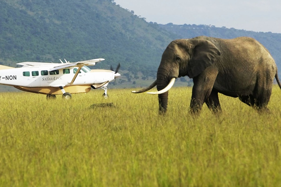 3-Day Fly in Safari Tarangire Ngorongoro & Materuni Waterfalls - From Zanzibar