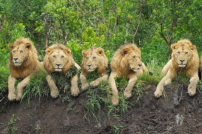 3-Day Fly in Safari Tarangire Ngorongoro & Chemka hot springs - From Zanzibar