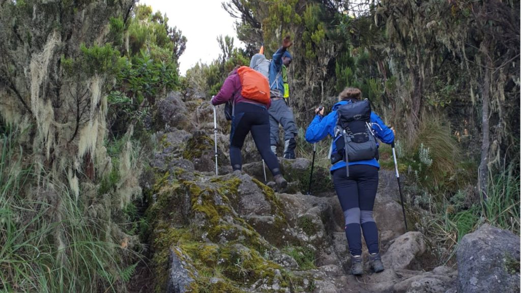 4-Day Oldoinyo Lengai Hiking Trip & Activities